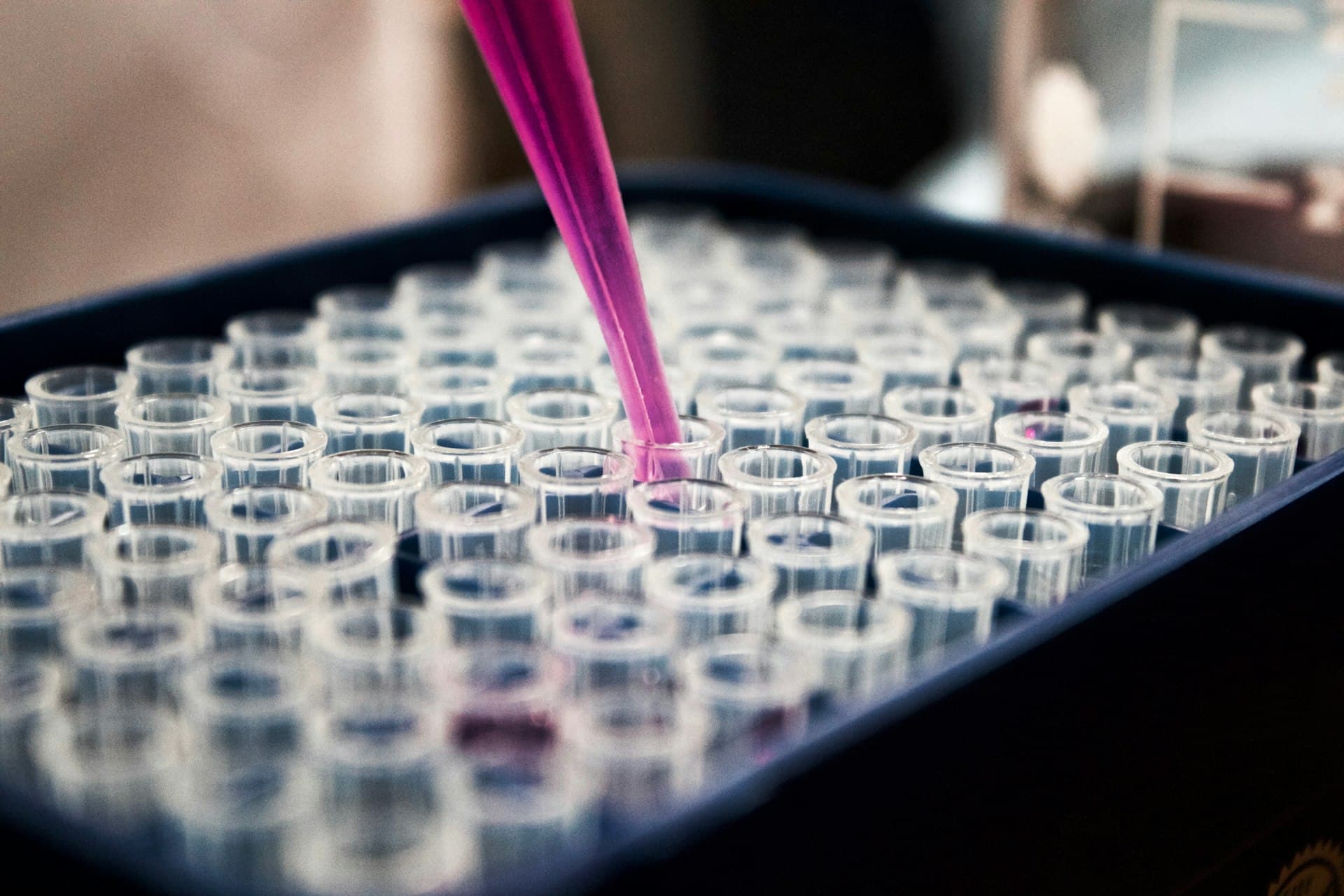 Pipette transferring sample in a research lab