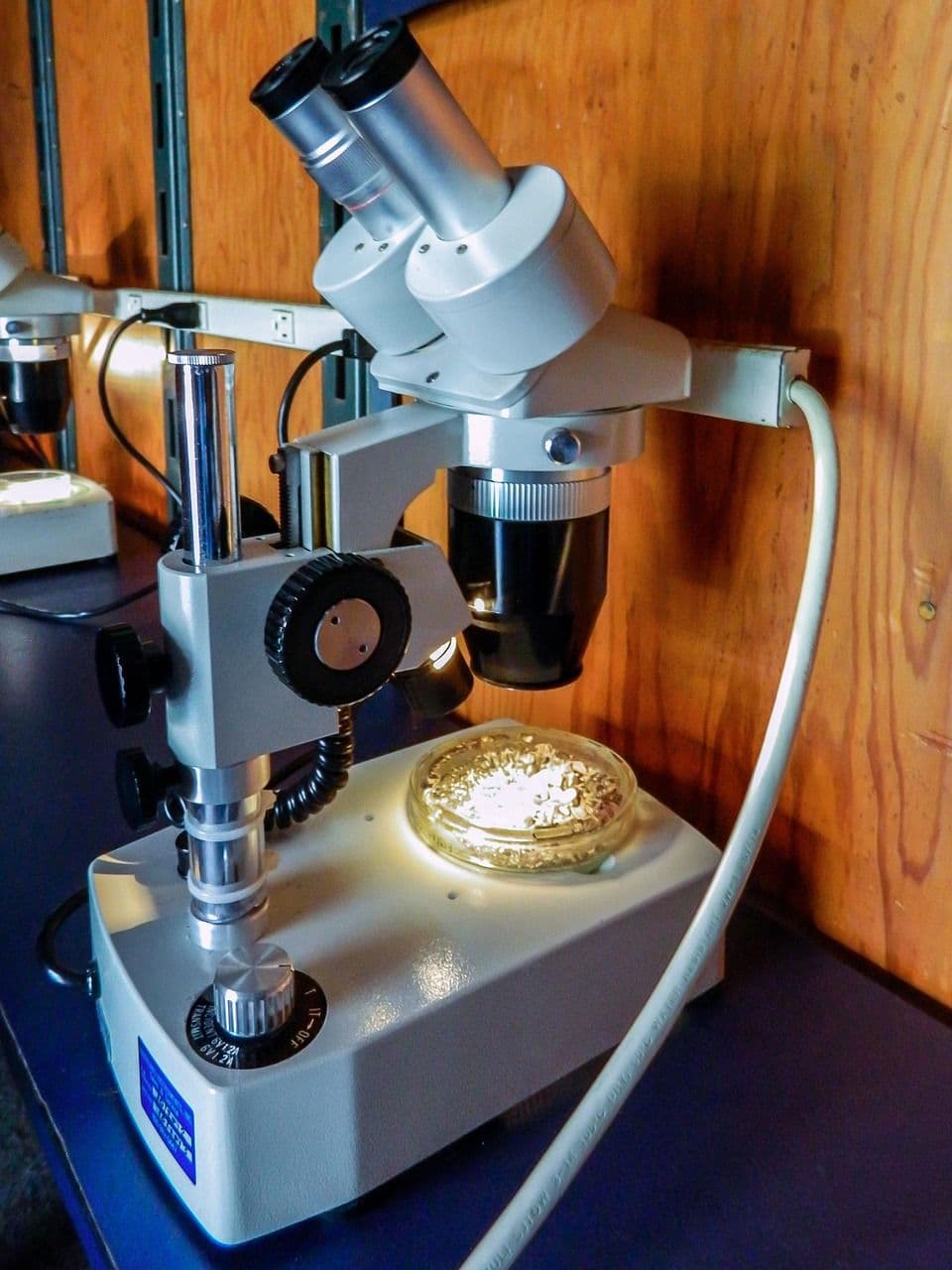 Stereomicroscope in a research lab